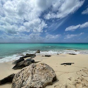 Meet your Posher, Teri